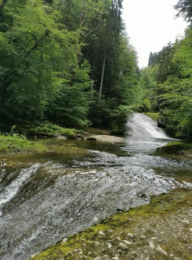 Ferienwohnung Nest Wangen im Allgäu Exterior foto